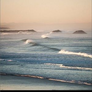 Meet your Posher, Char